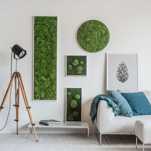 how to use moss in interior design and decoration