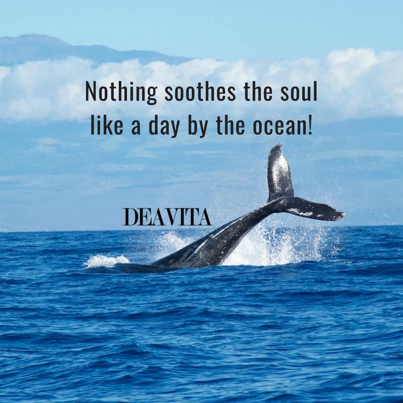 ocean quotes and short sayings about summer