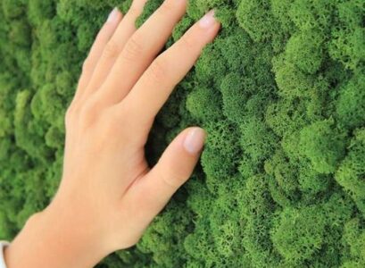 vertical-garden-moss-walls-design-ideas-trendy-home-decor