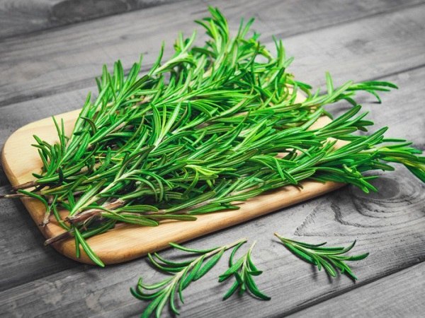 DIY natural chemical free bathroom cleaner with rosemary