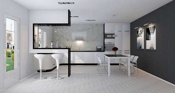 black and white minimalist kitchen interior design with futuristic look
