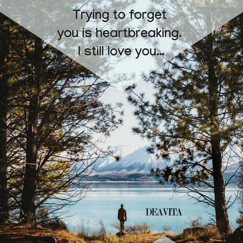 break up quotes and sad lost love sayings with photos