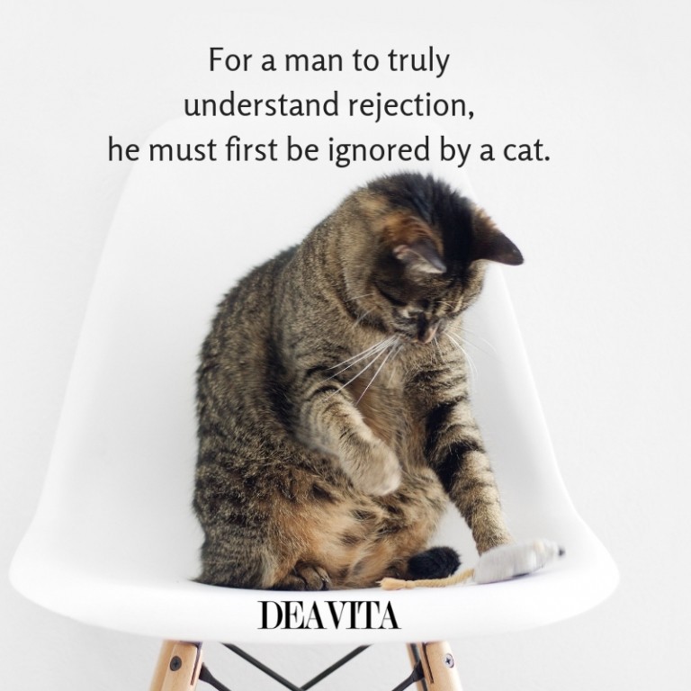 funny pet quotes and sayings about cats and people