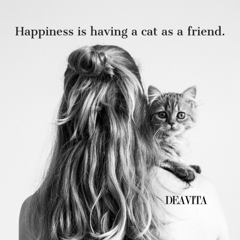 quotes about happiness cats friends best sayings about pets