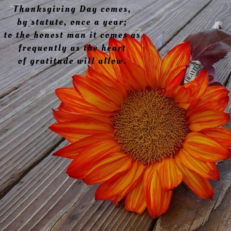 Best Thanksgiving day greetings and cards with wishes
