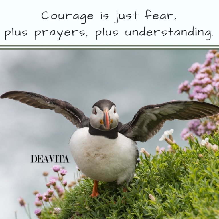 Courage fear bravery short inspirational quotes