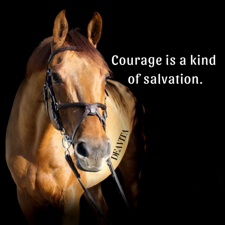 Courage salvation short quotes and cool photo cards