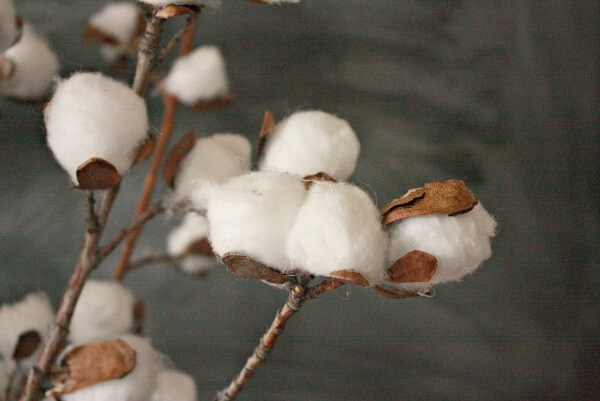 DIY cotton stems for decoration