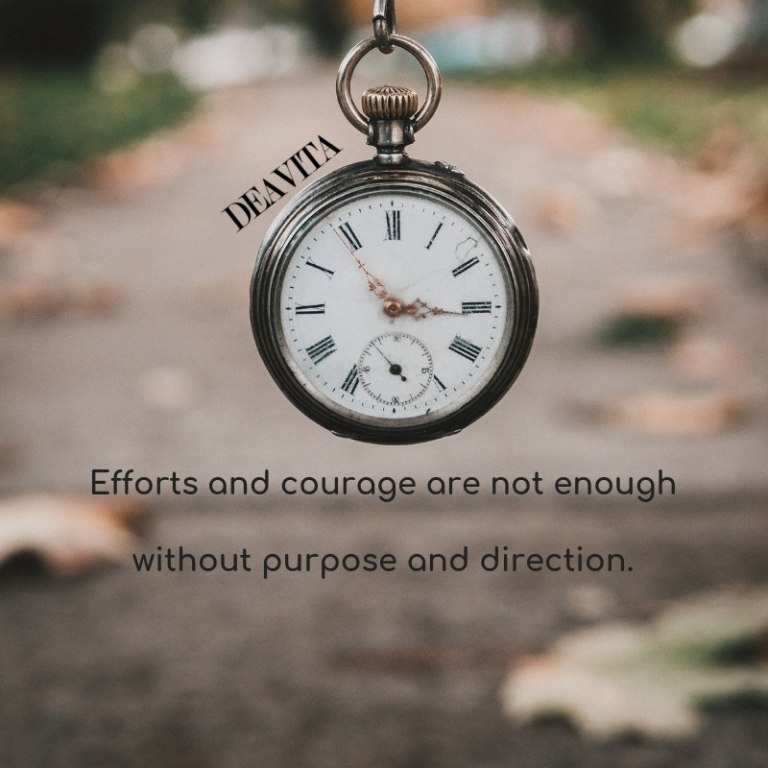 Efforts courage purpose direction great motivational quotes