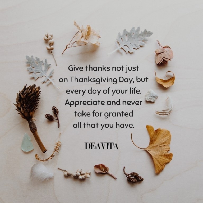Give thanks quotes and greeting cards for Thanksgiving Day