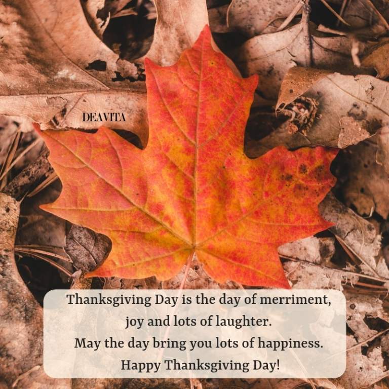 Happy Thanksgiving Day cards and wishes for joy and laughter