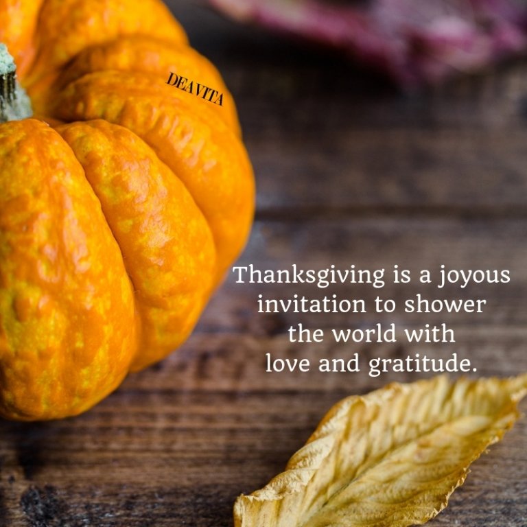 Thanksgiving and gratitude greeting cards with short quotes