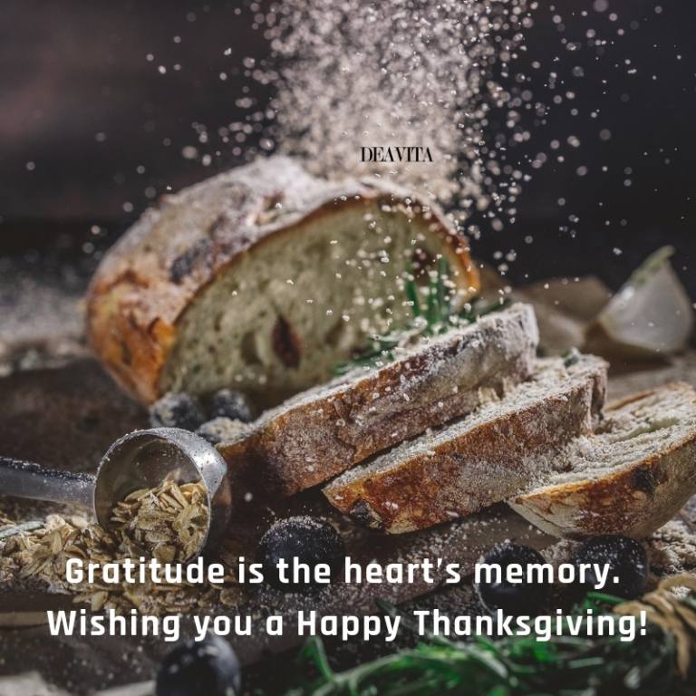 Thanksgiving and gratitude photo cards with greetings