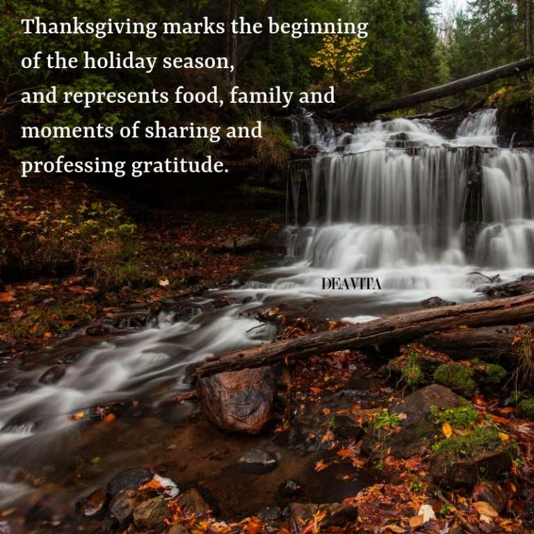 Thanksgiving family gratitude best short inspirational quotes