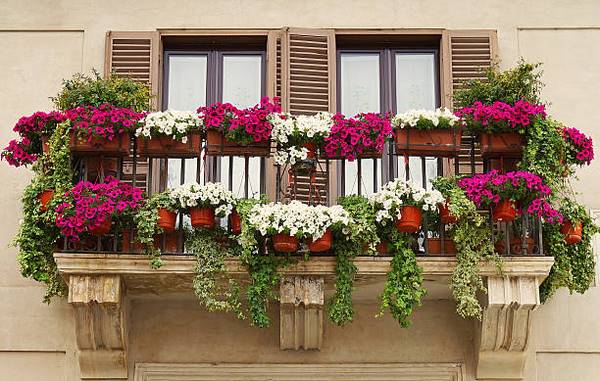 amazing balcony with hanging flowers in pots