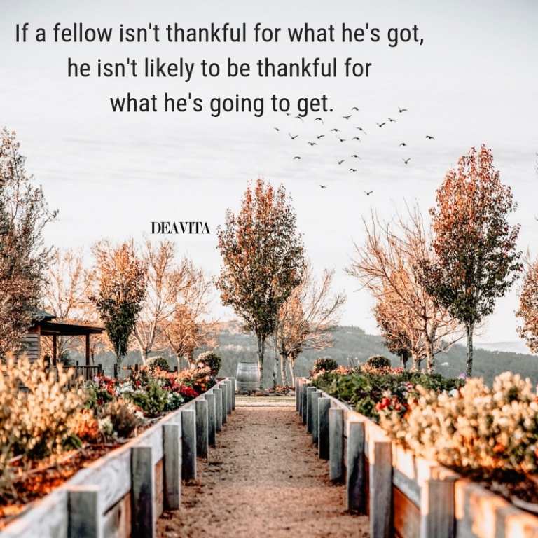 being thankful quotes and sayings about gratitude