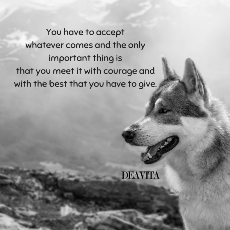bravery attitude and courage quotes and inspiring sayings with photos