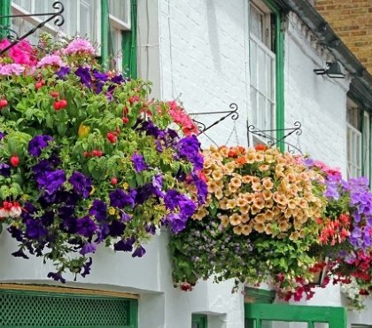 colorful-hanging-flower-baskets-exterior-design-ideas