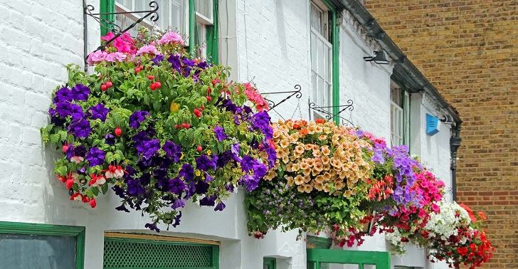 colorful hanging flower baskets exterior design ideas