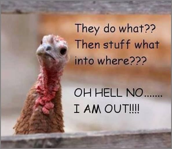 funny thanksgiving turkey images and memes