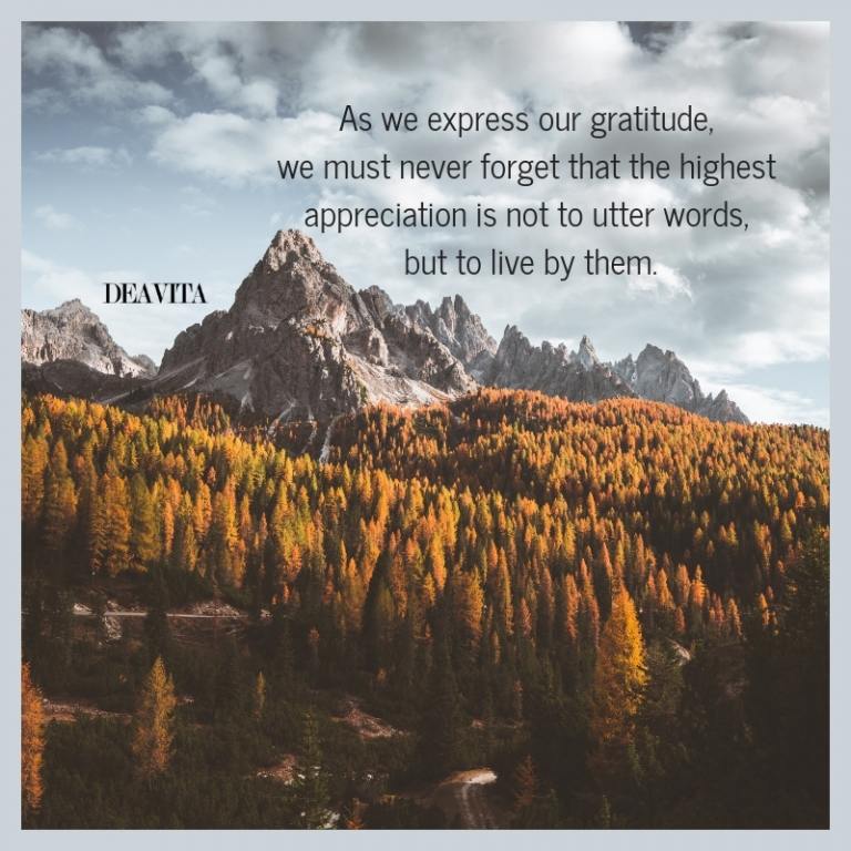 gratitude quotes and sayings thanksgiving greetings