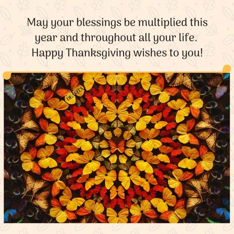 greeting cards with unique photos and wishes for blessings on thanksgiving day