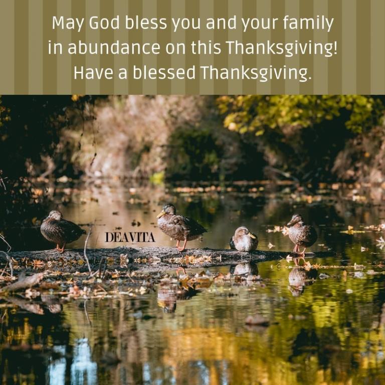 have a blessed thanksgiving original greeting cards with photos