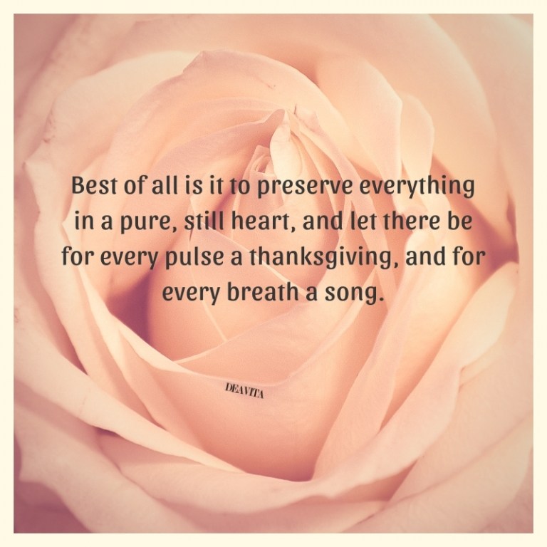 inspiring thanksgiving quotes and deep sayings greeting cards