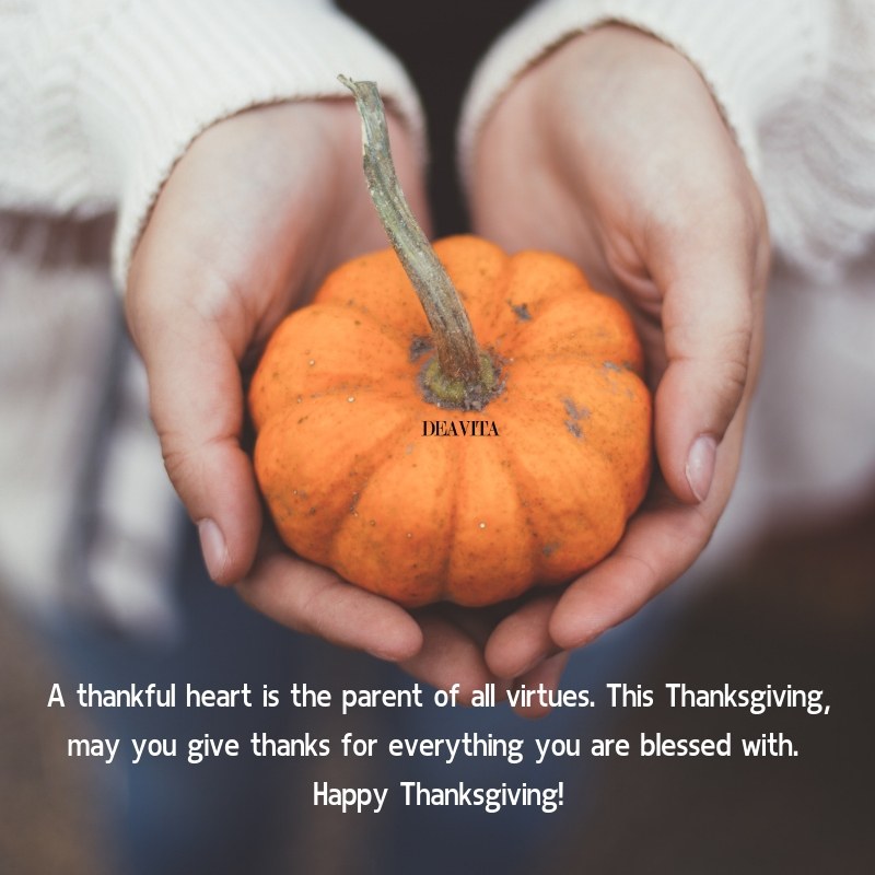 original thanksgiving cards and greetings for friends and family