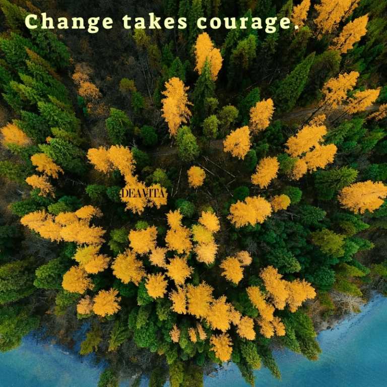 positive quotes about life change and courage