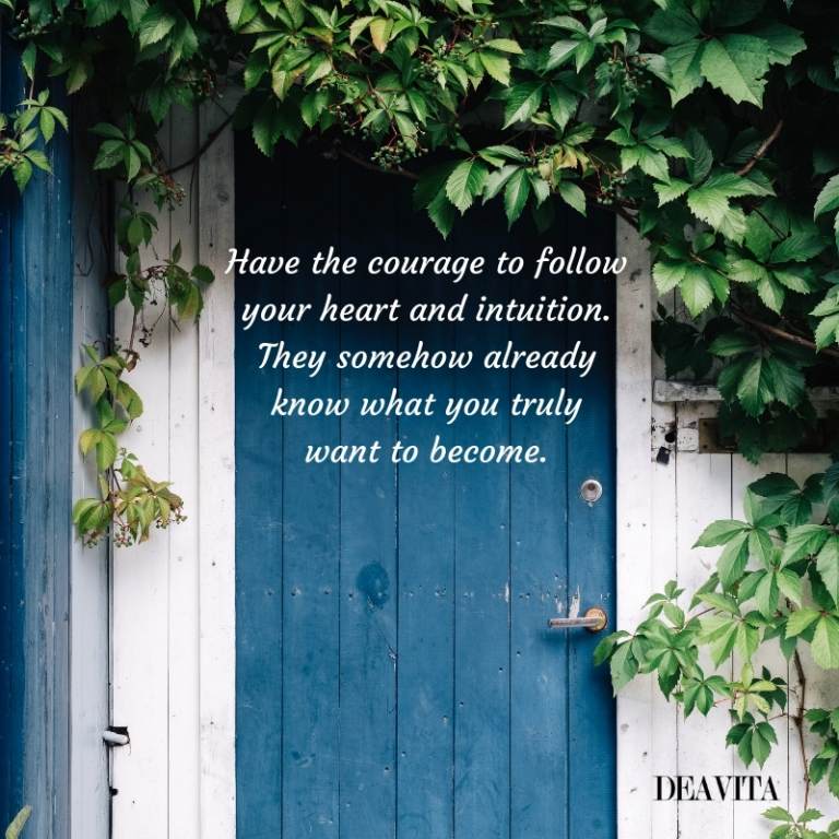 positive quotes and photo cards about courage to follow your heart