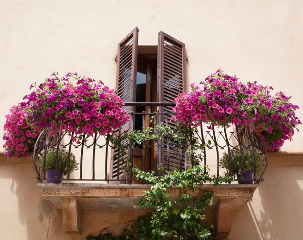 small balcony decoration with blooming flowers