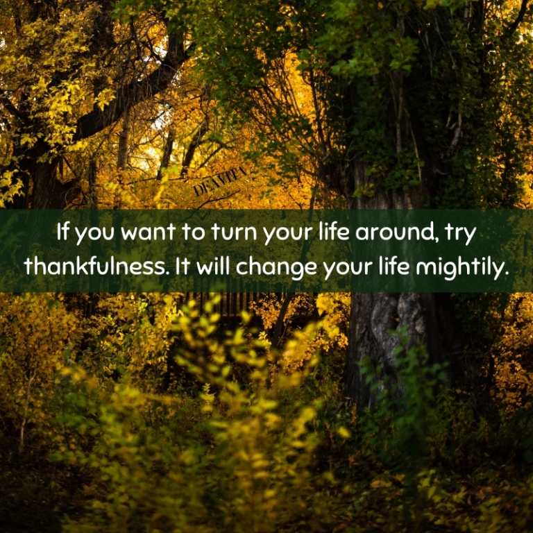 thankfulness and gratitude quotes with photos
