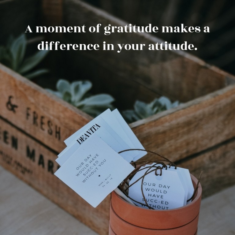 thanksgiving and gratitude quotes and photo cards