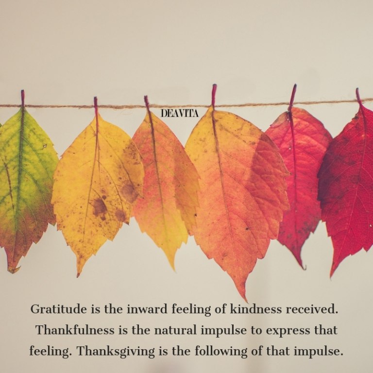 thanksgiving gratitude quotes and greeting cards with text