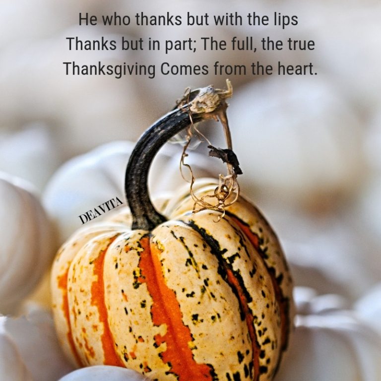 thanksgiving greetings and cards with messages