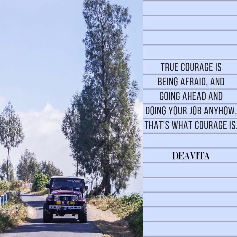 the best quotes about true courage being afraid and going on