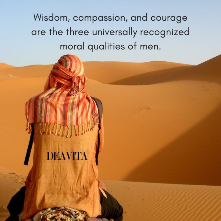 the best quotes about wisdom compassion courage and human qualities