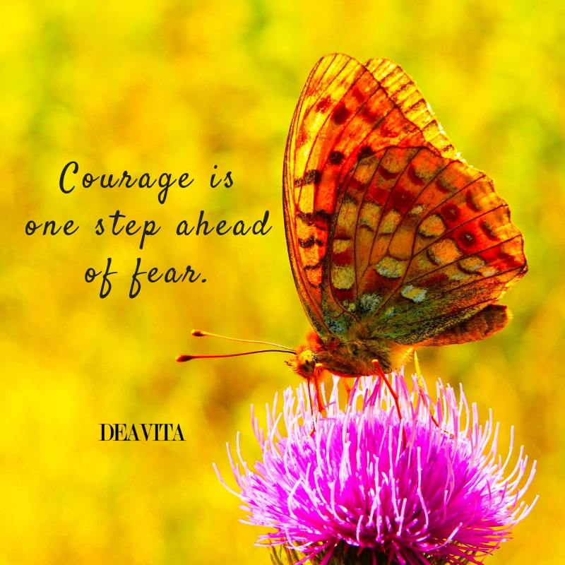 the best short quotes and photo cards about courage