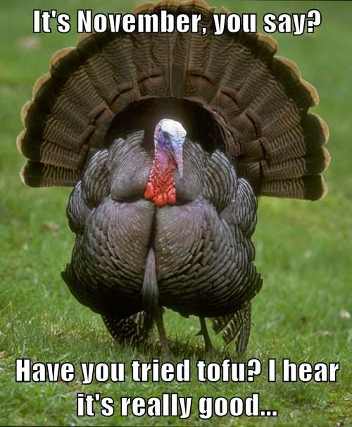 the best super funny thanksgiving memes