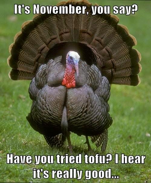 the-best-super-funny-thanksgiving-memes