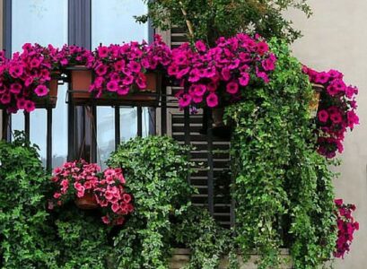 window-and-balcony-flowers-hanging-plants-ideas