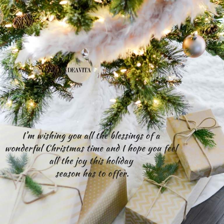Christmas wishing blessings greeting cards with text