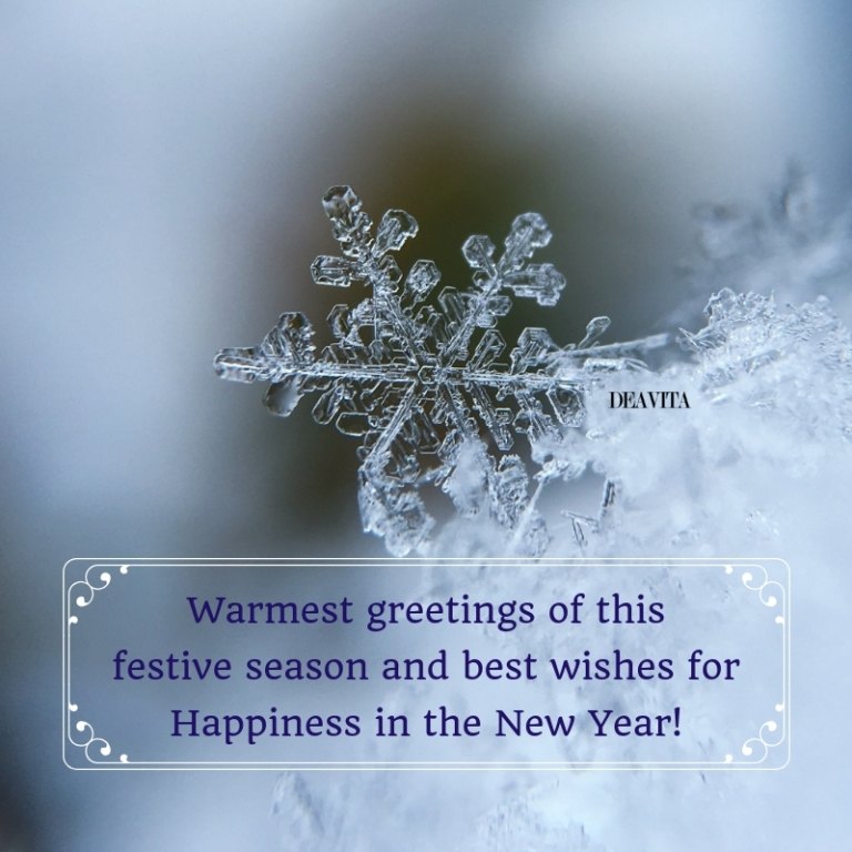 Warmest-greetings-festive-christmas-and-new-year