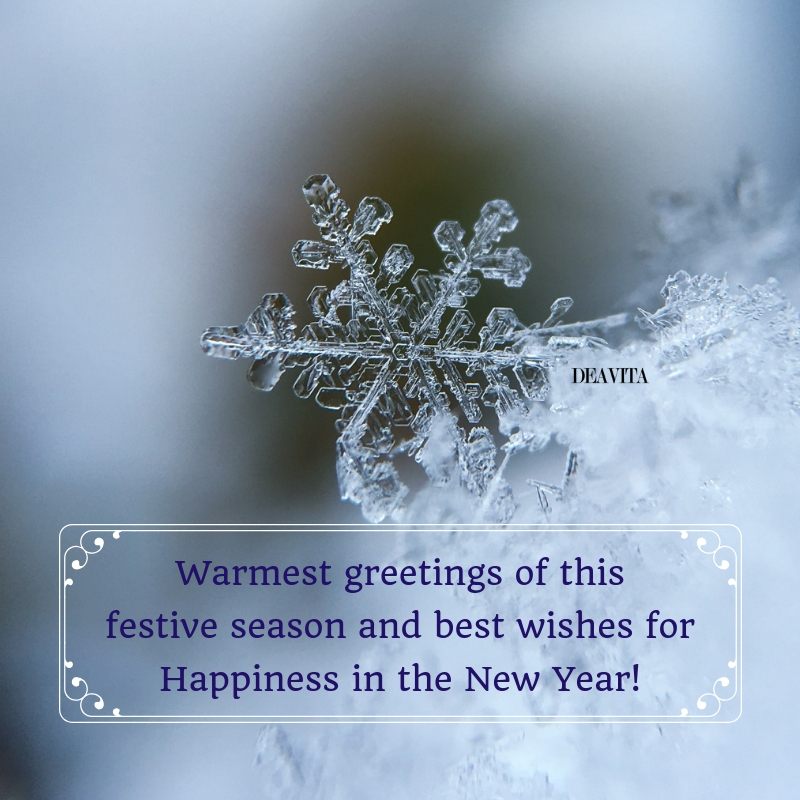 Warmest-greetings-festive-christmas-and-new-year
