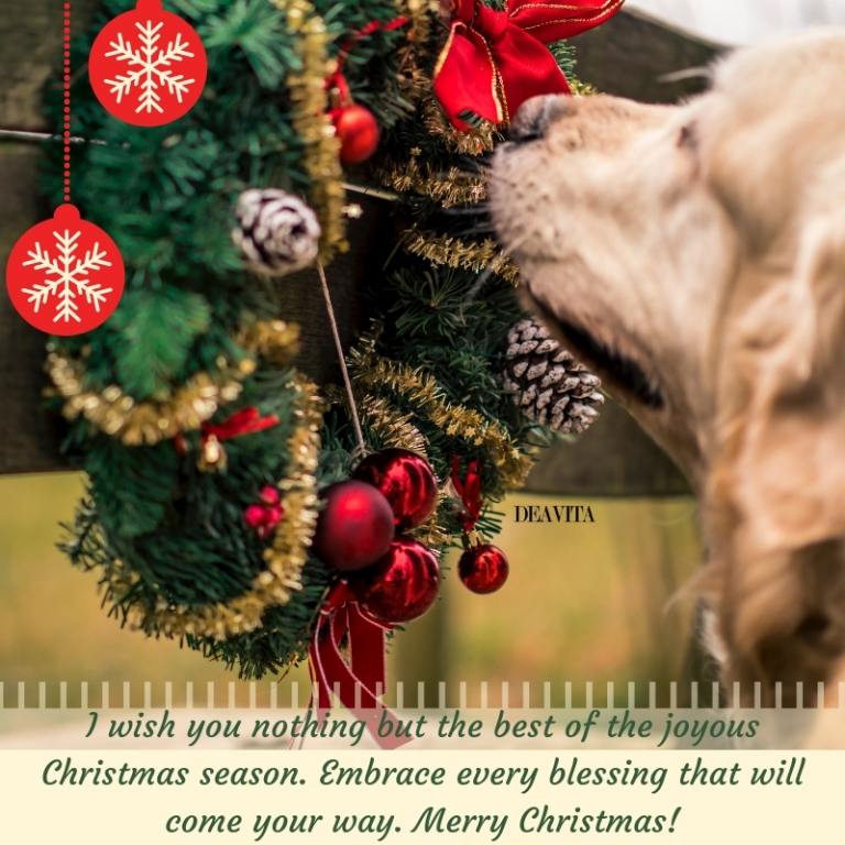 best christmas wishes greeting cards