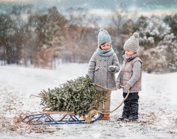 christmas tree from farm day trip and activities for children