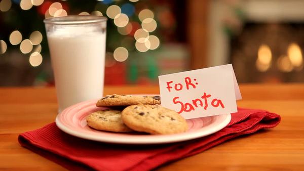 cookies and milk for santa