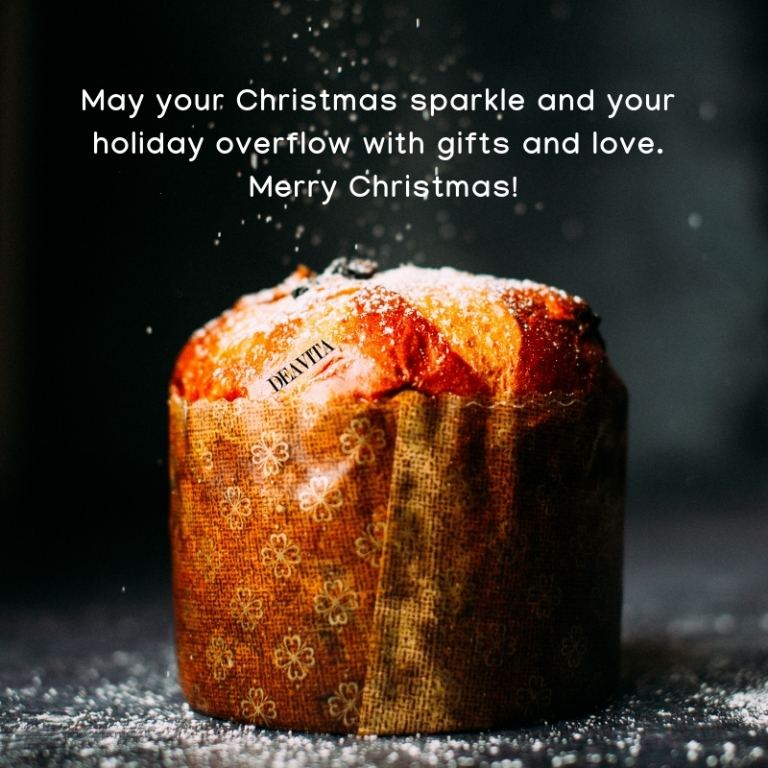 holiday-messages-and-Christmas-greeting-cards-with-cool-photos