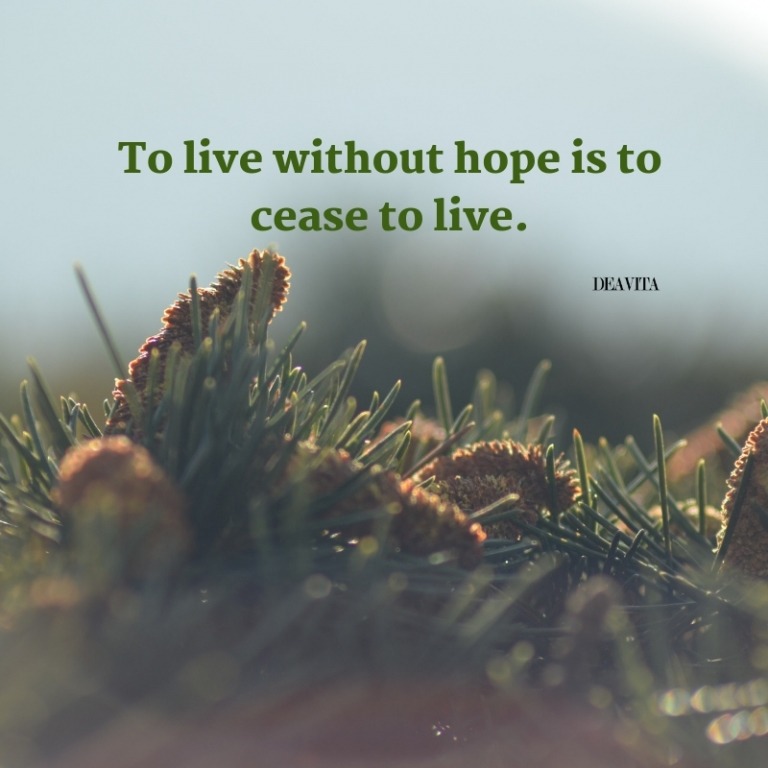 best short deep motivational quotes To live without hope is to cease to live 
